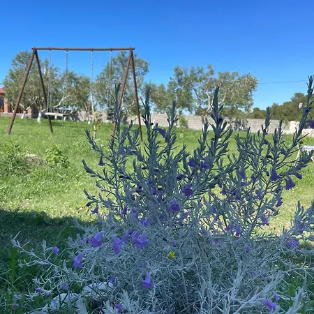 Diarla's 1 * フィエル