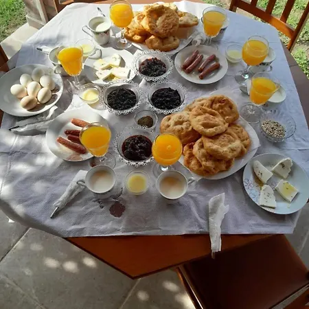 別荘 Diarla's 1 フィエル