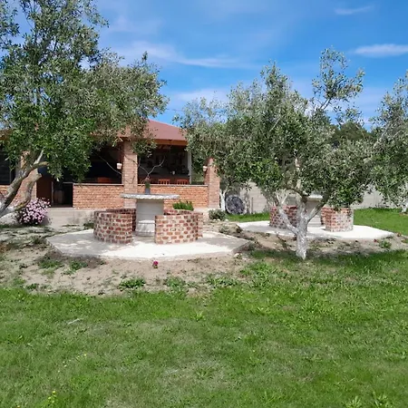 Diarla's 1 * フィエル