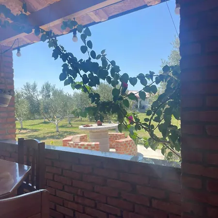 Diarla's 1 フィエル