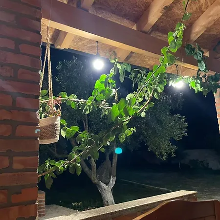 Diarla's 1 フィエル