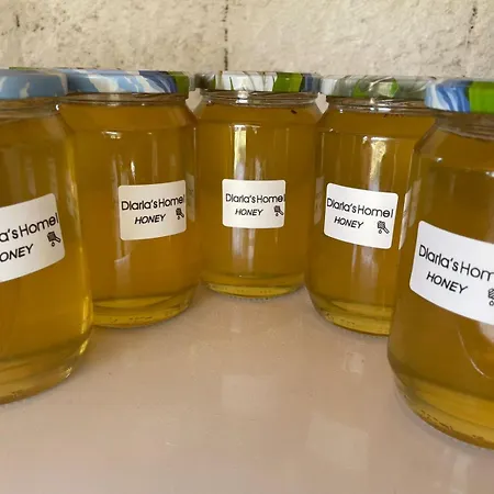 別荘 Diarla's 1 フィエル