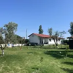 Diarla's 1 * Φιέρι