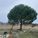 Σπίτι διακοπών Diarla's 1 *