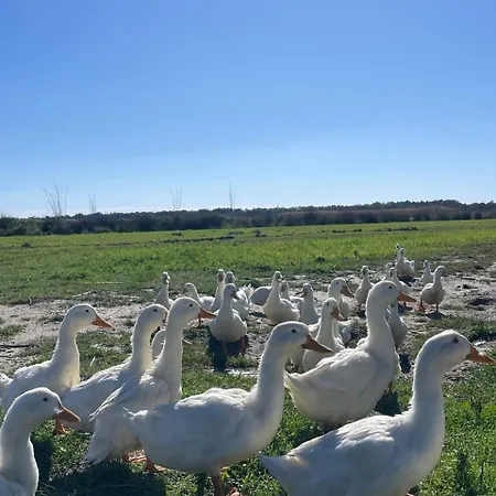 Diarla's 1 Σπίτι διακοπών Φιέρι