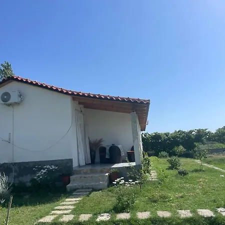 Diarla's 1 * Φιέρι